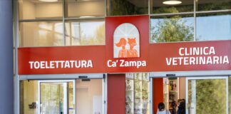 Animali domestici, cresce la domanda di servizi per il loro benessere