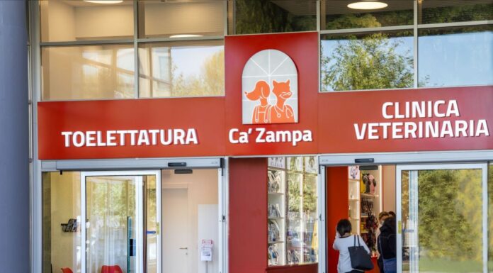 Animali domestici, cresce la domanda di servizi per il loro benessere