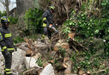 Maltempo, danni nel ragusano a causa del forte vento