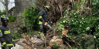Maltempo, danni nel ragusano a causa del forte vento