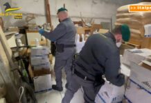 Sequestrate 30 tonnellate di prodotti fitosanitari nel Napoletano, una denuncia