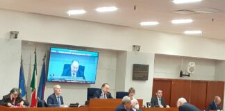 Le decisioni del Consiglio regionale della Campania