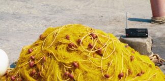 Pesca, Piana “Nuove possibilità per le marinerie liguri”