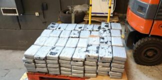 Malta, Dogana intercetta carico di banane con 270 chili di cocaina