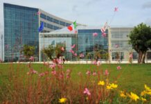 Puglia seconda regione per comunicazione sui canali social