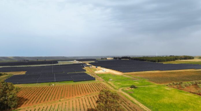 Engie inaugura in Sicilia il più grande parco agrivoltaico d’Italia
