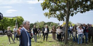Nasce a Napoli il parco letterario Lilliput, scoperte 10 installazioni