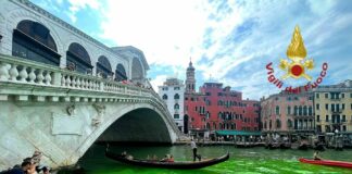 Chiazza verde nel Canal Grande a Venezia