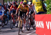 A Cavendish l’ultima tappa del Giro, Roglic vince la corsa