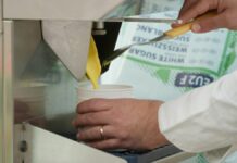 Formazione continua, così l’agroalimentare diventa più competitivo