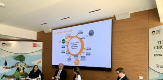 Conou, nel 2022 con l’olio lubrificante rigenerato risparmiati 130 mln