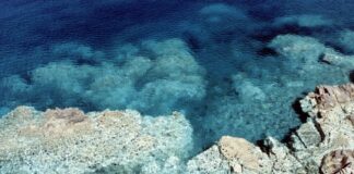 L’assessore sardo Porcu “Prevenire e limitare l’erosione costiera”