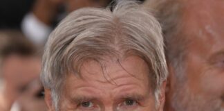 Cannes, Indiana Jones nelle spire del tempo