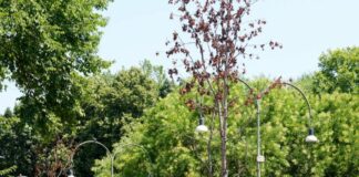 Liguria, al via la nuova campagna social dedicata ai parchi