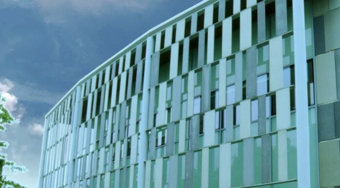 La sostenibilità sempre più decisiva per mercati finanziari e imprese