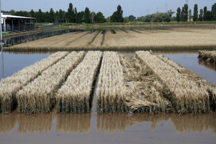 Emergenza alluvioni ed allagamenti in Emilia-Romagna