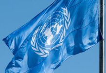 Onu approva risoluzione su controllo embargo armi alla Libia