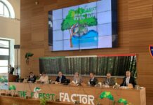 Dalle foreste un ruolo centrale per la tutela del clima