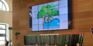 Dalle foreste un ruolo centrale per la tutela del clima