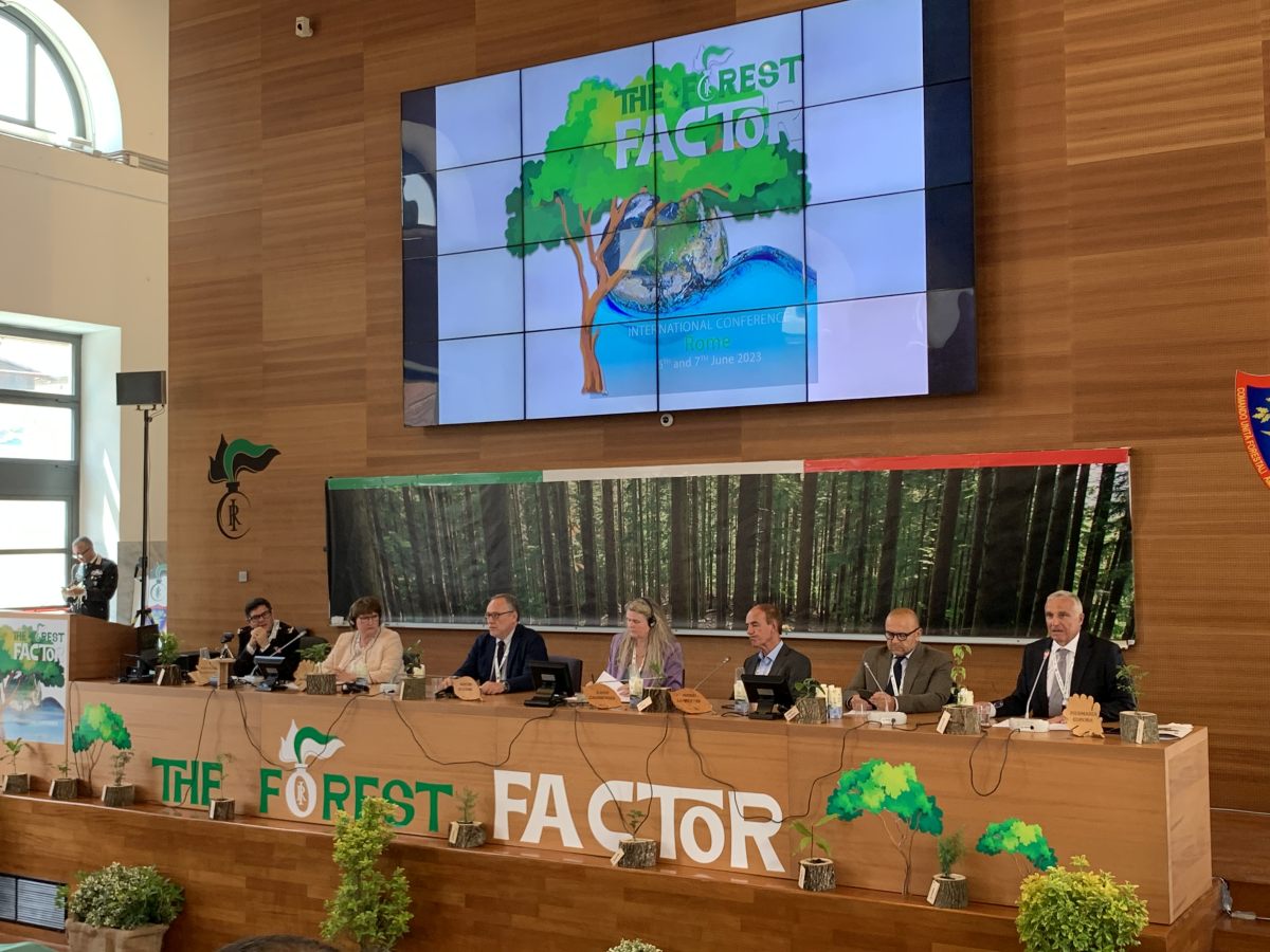 Dalle foreste un ruolo centrale per la tutela del clima Dalle foreste un ruolo centrale per la tutela del clima