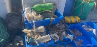 Più plastica che pesci, Marevivo “Non dobbiamo aspettare il 2050”