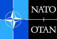 Malta, governo propone di rinnovare accordo PfP con la Nato