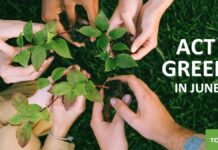 Toyota promuove la sostenibilità con la Green Month Campaign