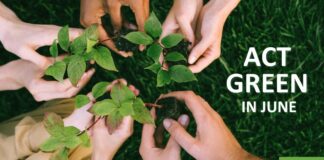 Toyota promuove la sostenibilità con la Green Month Campaign