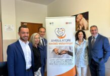 Piemonte, a Biella primo ambulatorio veterinario sociale della regione