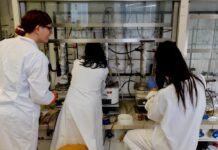Da Fondazioni Cariplo e Cdp 1,8 milioni per 12 giovani ricercatori