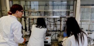 Da Fondazioni Cariplo e Cdp 1,8 milioni per 12 giovani ricercatori