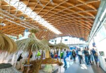Stabilimento balneare diventa brand tra arredi green e soluzioni digital