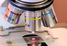Microbiota intestinale, una dieta varia per tenerlo in buona salute