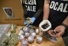 Trovati 18 chili di hashish in una cantina abbandonata di Milano