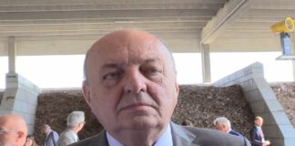 Pichetto Fratin “Sul Mes confido troveremo punto d’equilibrio”