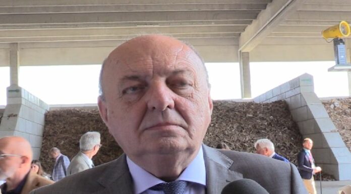 Pichetto Fratin “Sul Mes confido troveremo punto d’equilibrio”