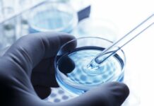 Farmaceutica, Takeda annuncia la rimborsabilità di Maribavir
