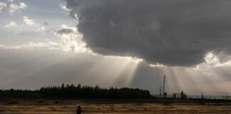Italia-Africa, 44 progetti per l’innovazione