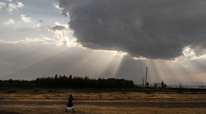 Italia-Africa, 44 progetti per l’innovazione