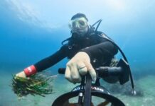 E.ON lancia il progetto Energy4blue per la salvaguardia del mare