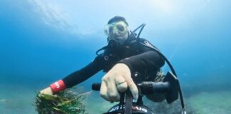 E.ON lancia il progetto Energy4blue per la salvaguardia del mare