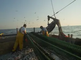 Abruzzo promosso sui fondi Ue per la pesca, spesa a oltre il 100% del target