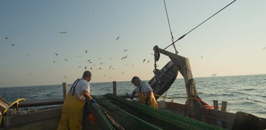 Abruzzo promosso sui fondi Ue per la pesca, spesa a oltre il 100% del target