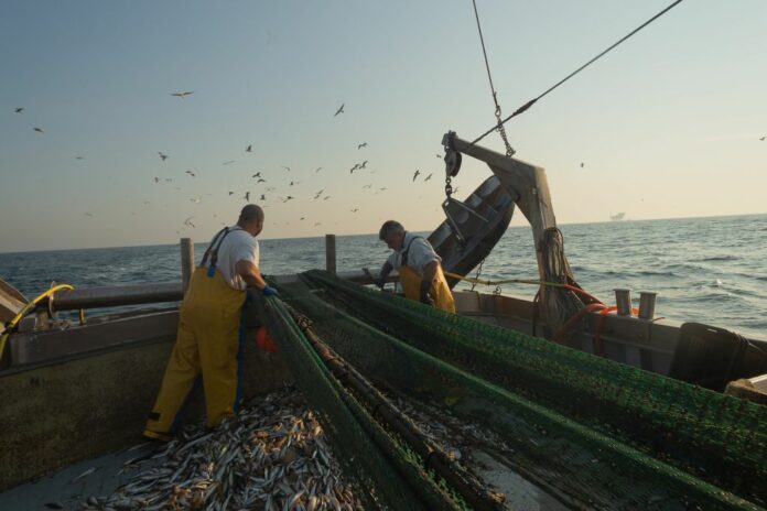 Pesca e pescatori