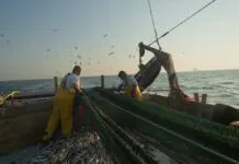 Pesca, i sindacati “Positivo il Ddl Mare, ma rimane il nodo della CISOA”
