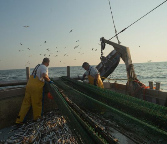 Pesca, i sindacati “Positivo il Ddl Mare, ma rimane il nodo della CISOA”