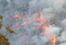 Incendi boschivi, divieto assoluto di accensione fuochi in Toscana