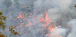 Incendi boschivi, divieto assoluto di accensione fuochi in Toscana