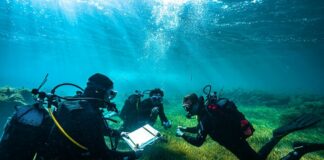 Scoperto a Vulcano un batterio che assorbe l’anidride carbonica