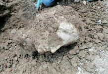 Roma, nuovo importante ritrovamento in piazza Augusto Imperatore